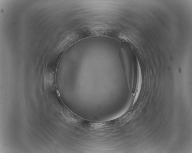 X0000067890139200604201319