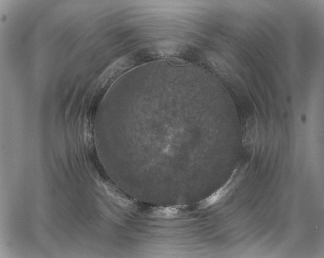 X0000067890140200604201319