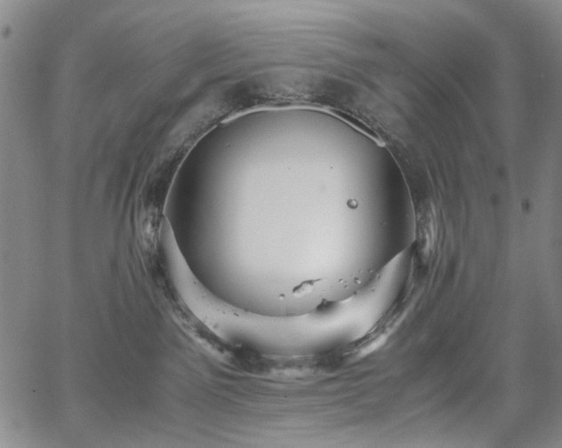 X0000067890141200604201319