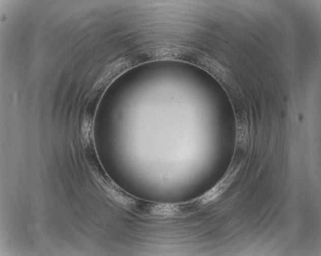 X0000067890142200604201319