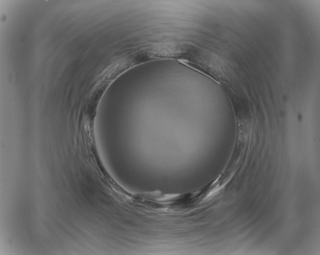 X0000067890143200604201319