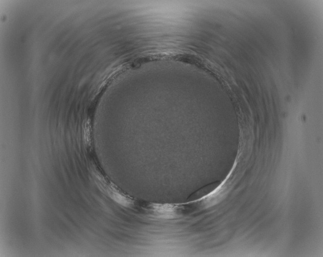 X0000067890144200604201319