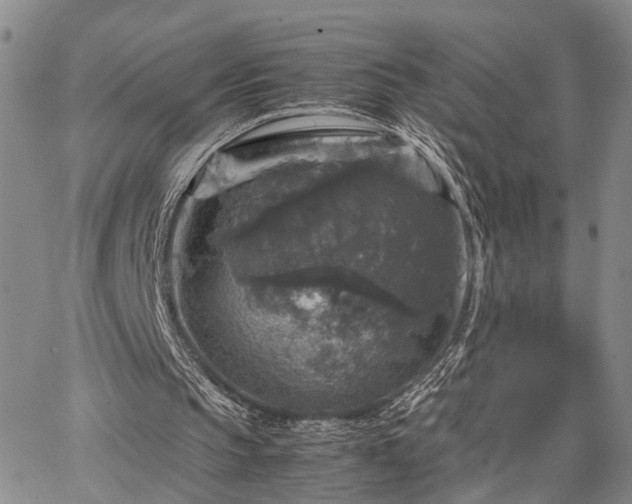 X0000067890145200604201318