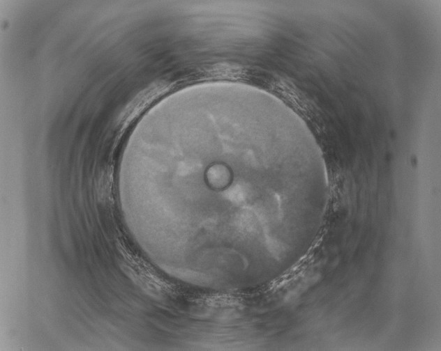 X0000067890146200604201318