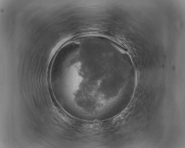 X0000067890147200604201318