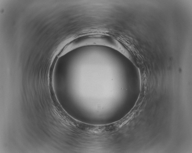 X0000067890148200604201318