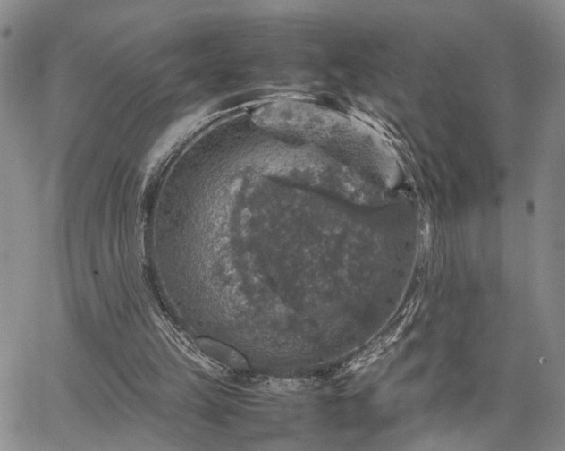 X0000067890149200604201318