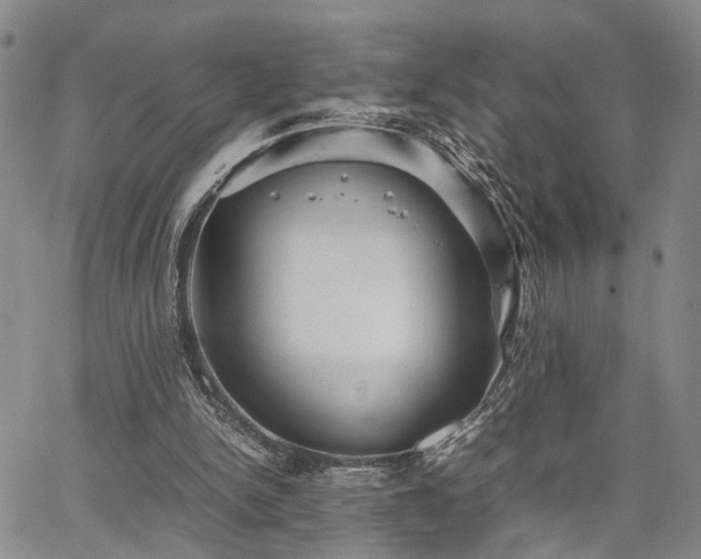 X0000067890150200604201318