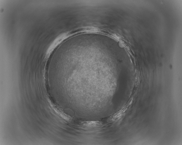 X0000067890151200604201318