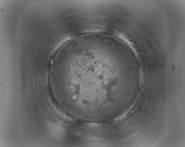 X0000067890153200604201318