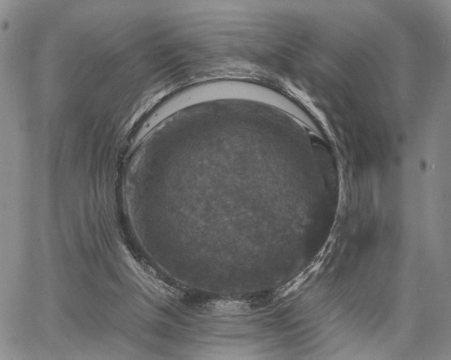 X0000067890154200604201318