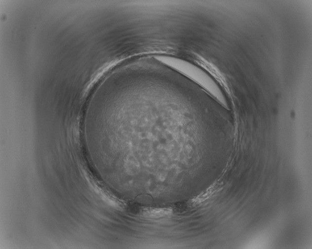 X0000067890155200604201318