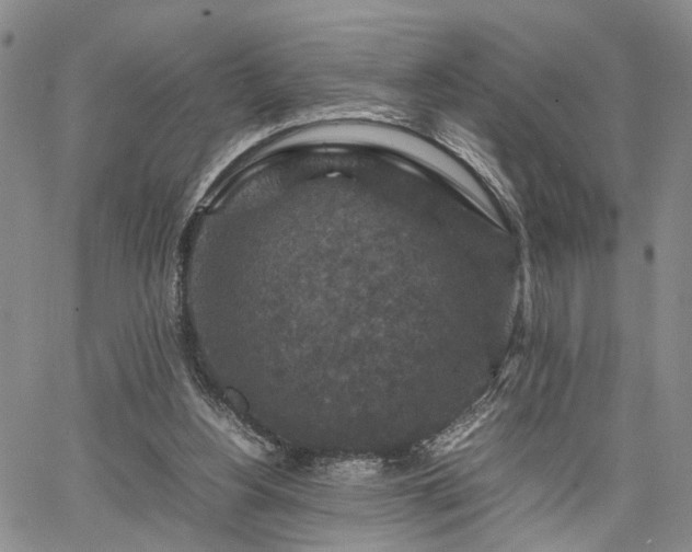 X0000067890156200604201318