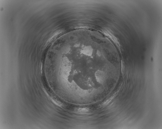 X0000067890157200604201318