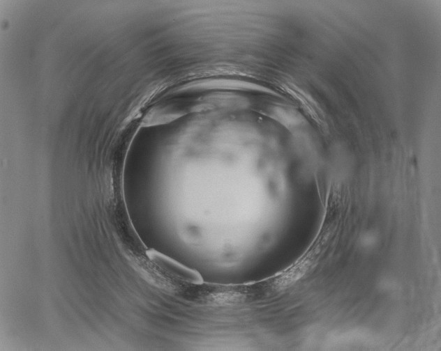 X0000067890158200604201318