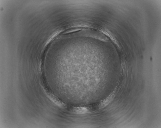 X0000067890159200604201318