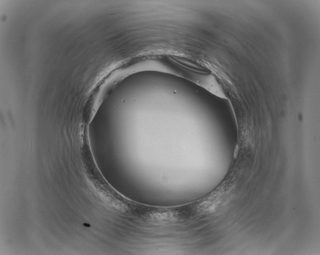 X0000067890160200604201318