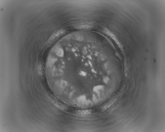 X0000067890161200604201318