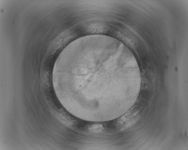 X0000067890162200604201318