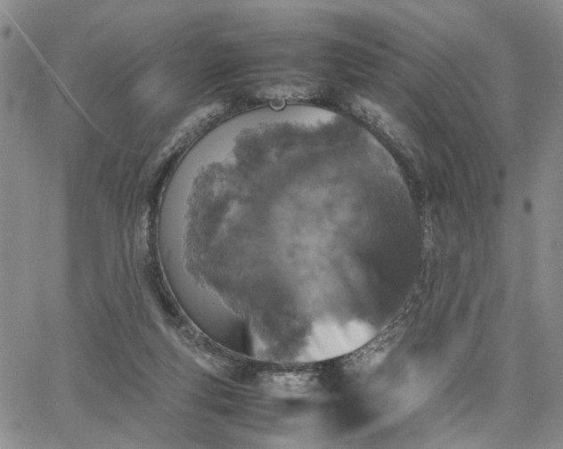 X0000067890163200604201318