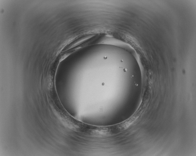 X0000067890164200604201318