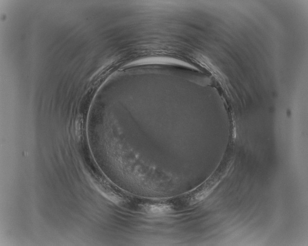 X0000067890165200604201318