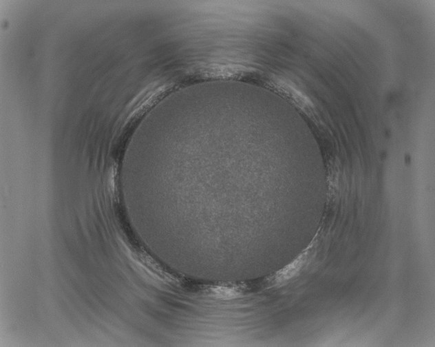 X0000067890166200604201318