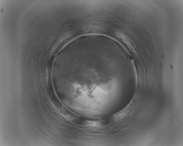 X0000067890167200604201318