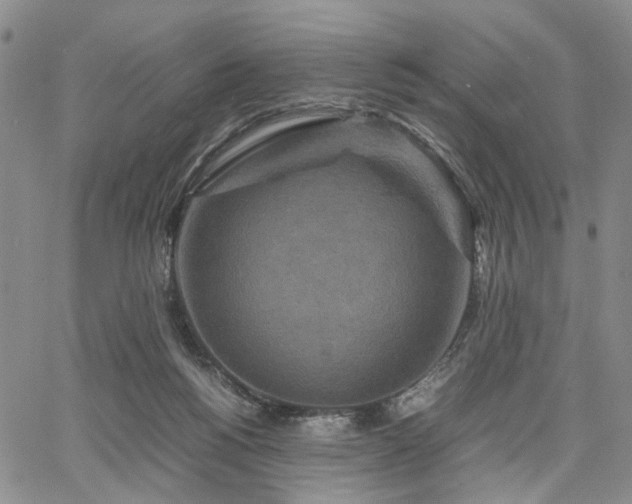 X0000067890168200604201318