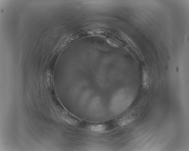 X0000067890169200604201318