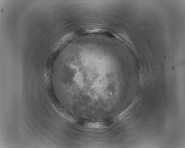 X0000067890171200604201318