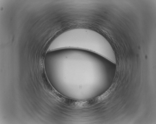 X0000067890172200604201318