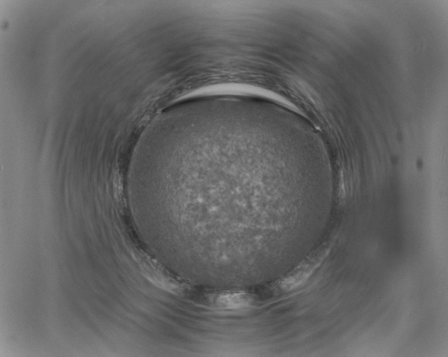 X0000067890173200604201318