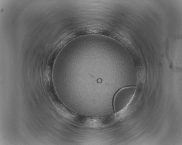 X0000067890174200604201318