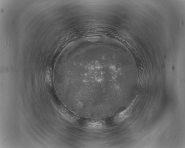 X0000067890175200604201318