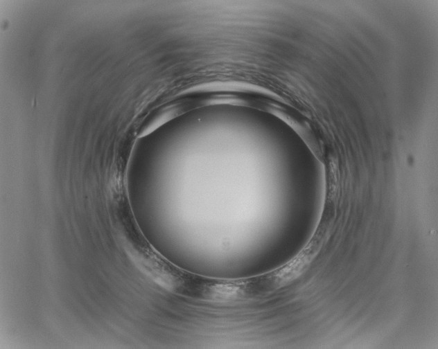 X0000067890176200604201318