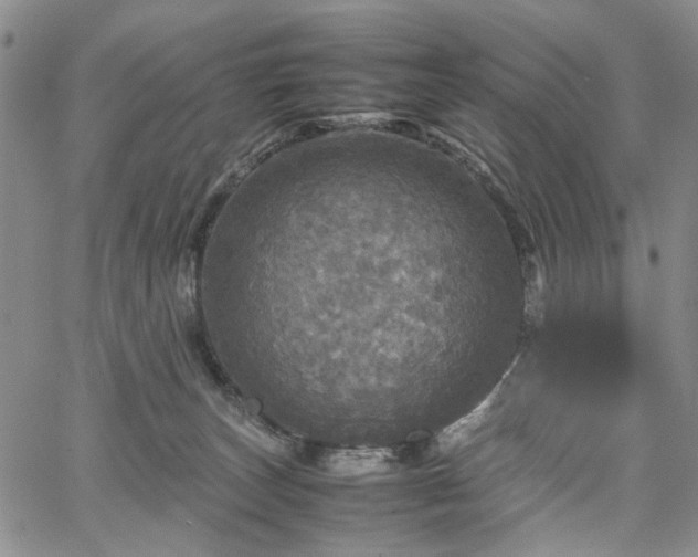 X0000067890179200604201318