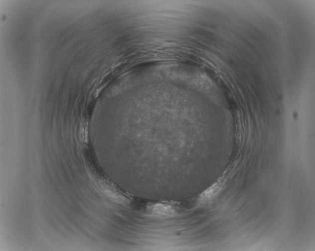 X0000067890180200604201318