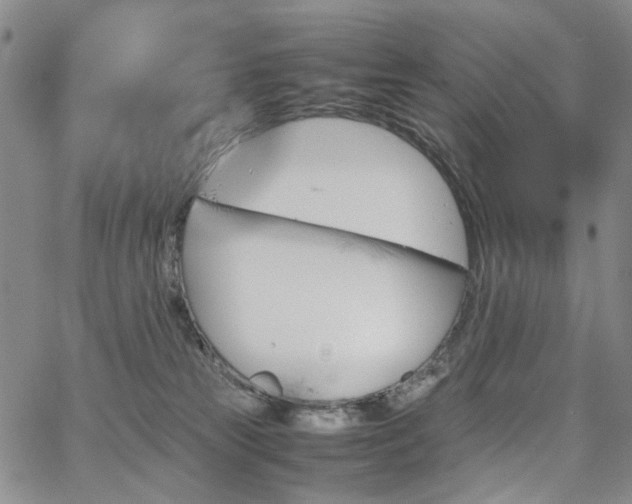 X0000067890181200604201318