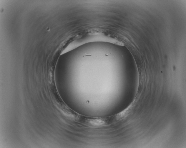 X0000067890183200604201318