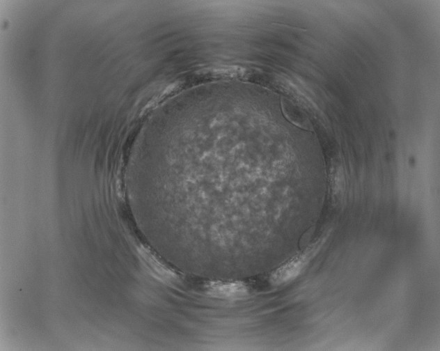 X0000067890185200604201319