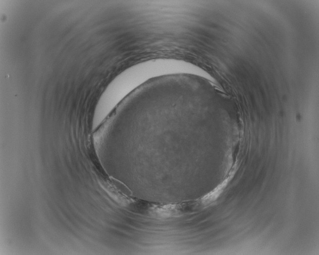 X0000067890186200604201319