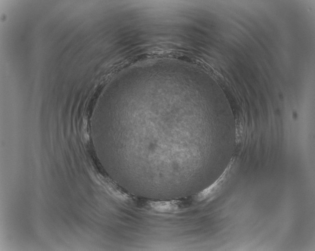 X0000067890187200604201319