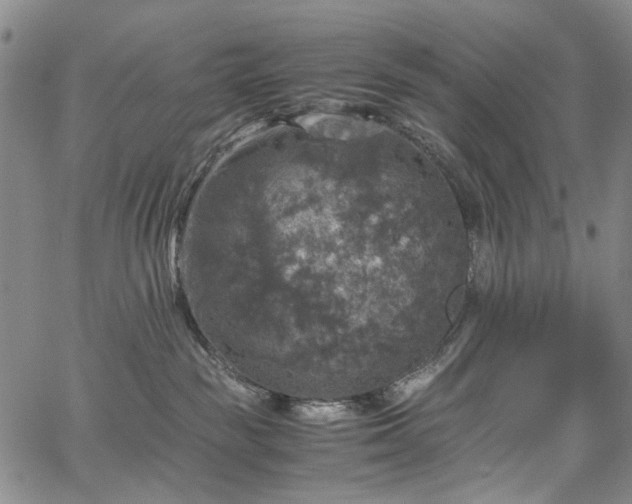 X0000067890189200604201319