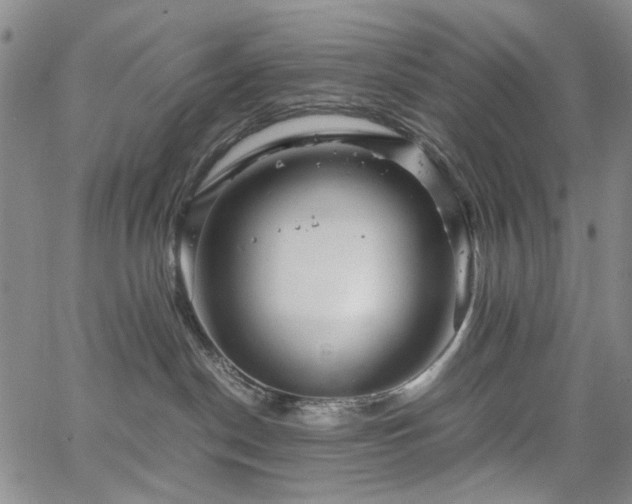 X0000067890190200604201319