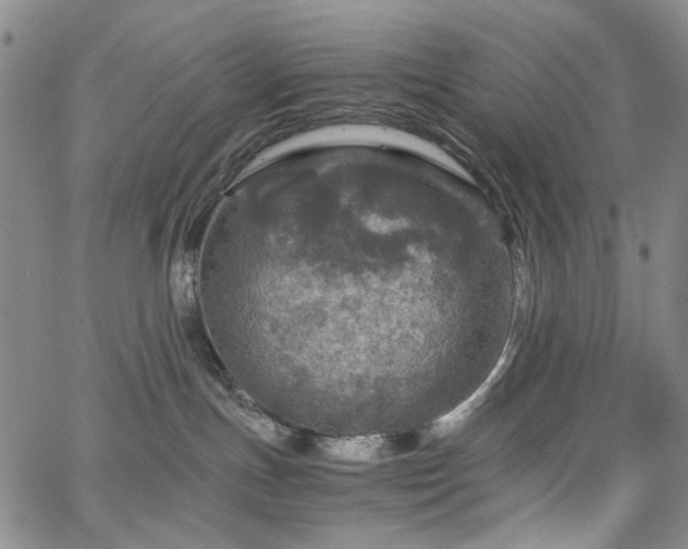 X0000067890191200604201319