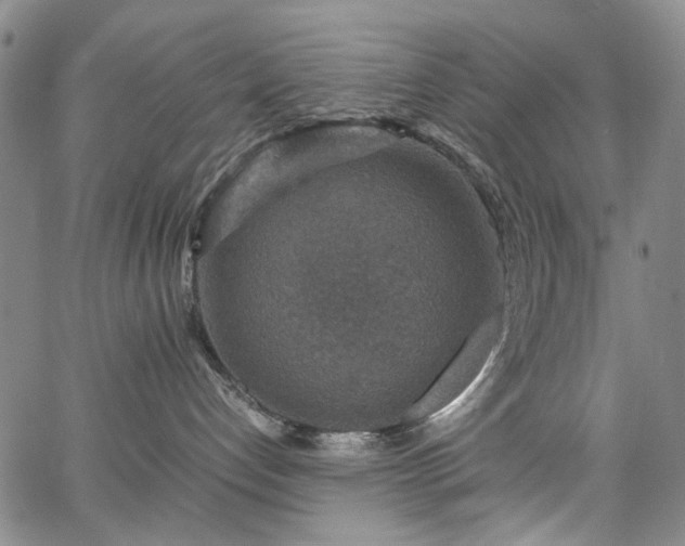 X0000067890192200604201319