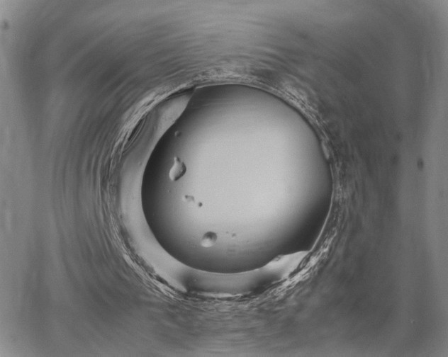 X0000067890193200604201318