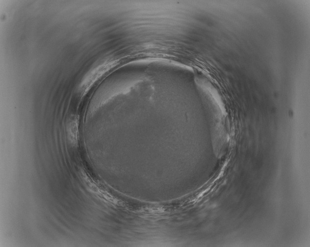 X0000067890194200604201318