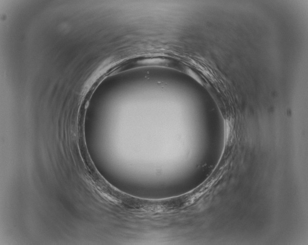 X0000067890195200604201318